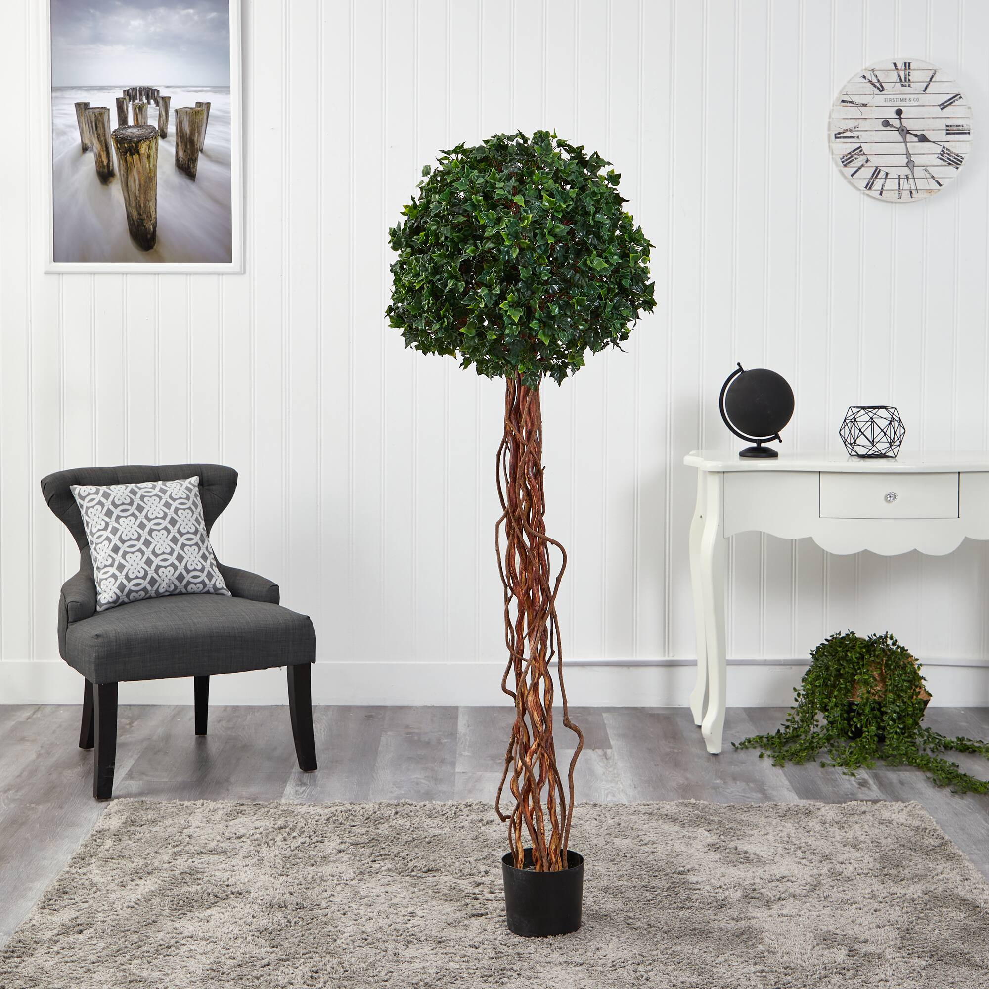 5.5ft. Potted English Ivy Ball Topiary Tree